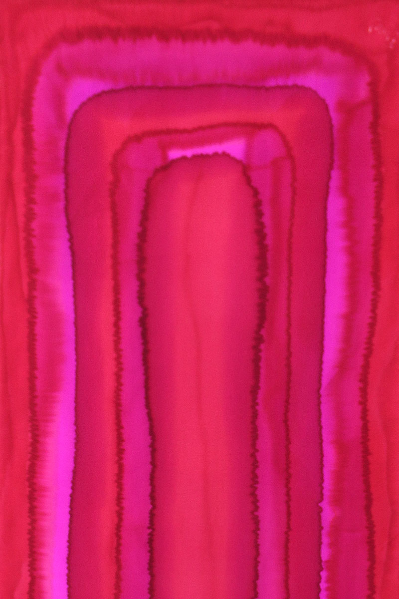 Silk Bandana - Fuchsia Flatworm GBR-04B